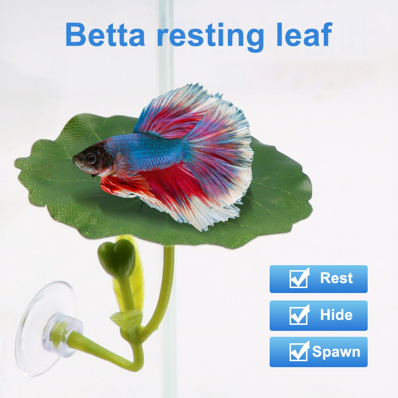 Betta Fish Tank - (Ce14)1/5PC ต้นไม้ใบเขียวสำหรับปลาแบตตา ช่วยลดความเครียด ปลอดภัยสำหรับตู้ปลา พร้อมถ้วยดูดติดตู้ปลา ของตกแต่งตู้ปลาแบบพืชปลอม