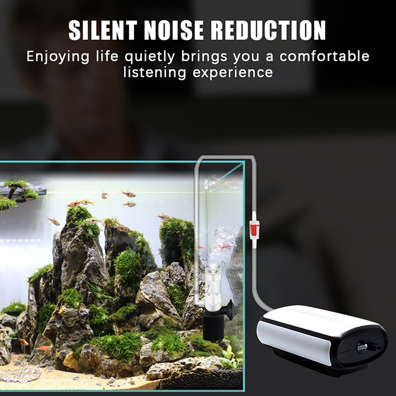 ฟิลเตอร์ฟองน้ำสำหรับตู้ปลาแบบใ - Betta Fish Tank บทวิจารณ์และราคา