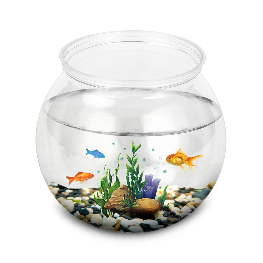 ชามปลาพลาสติก L M S ขนาดเดสก์ท - Betta Fish Tank บทวิจารณ์และราคา