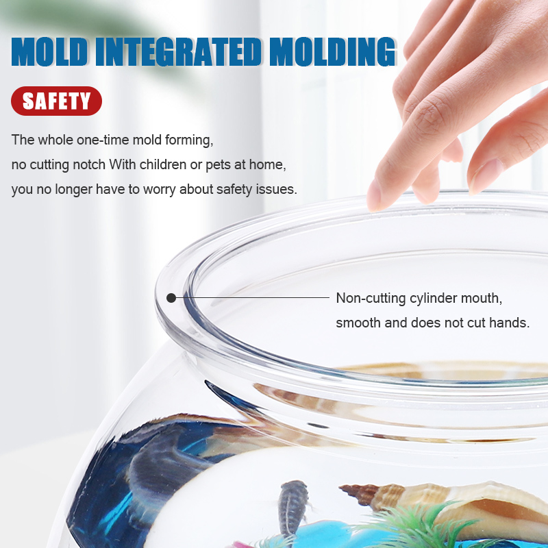 ชามปลาพลาสติก L M S ขนาดเดสก์ท - Betta Fish Tank บทวิจารณ์และราคา