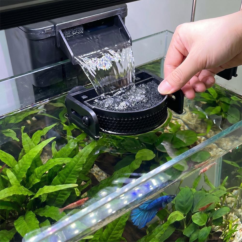    แผ่นกรองตู้ปลาแบบพรีเมียมพ - Betta Fish Tank บทวิจารณ์และราคา
