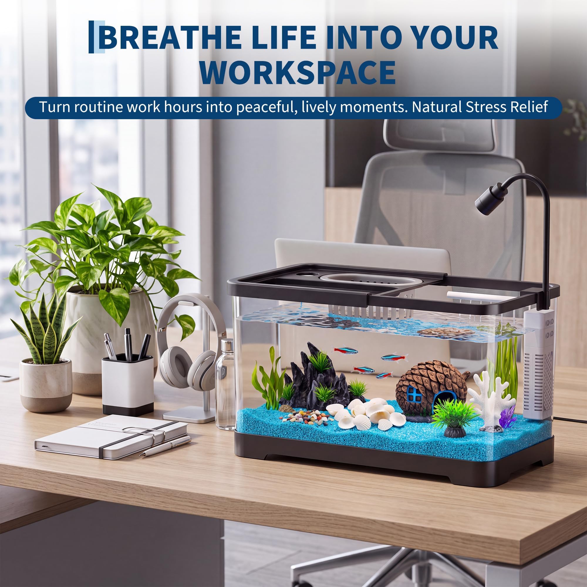 ชุดเริ่มต้นตู้ปลาพร้อมตัวกรองแ - Betta Fish Tank บทวิจารณ์และราคา