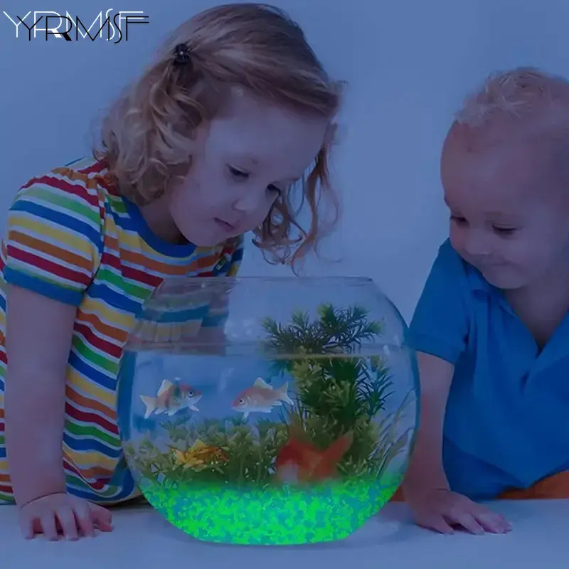 1000 ชิ้น 3-5 มิลลิเมตรทรายเรื - Fish Aquarium Home บทวิจารณ์และราคา