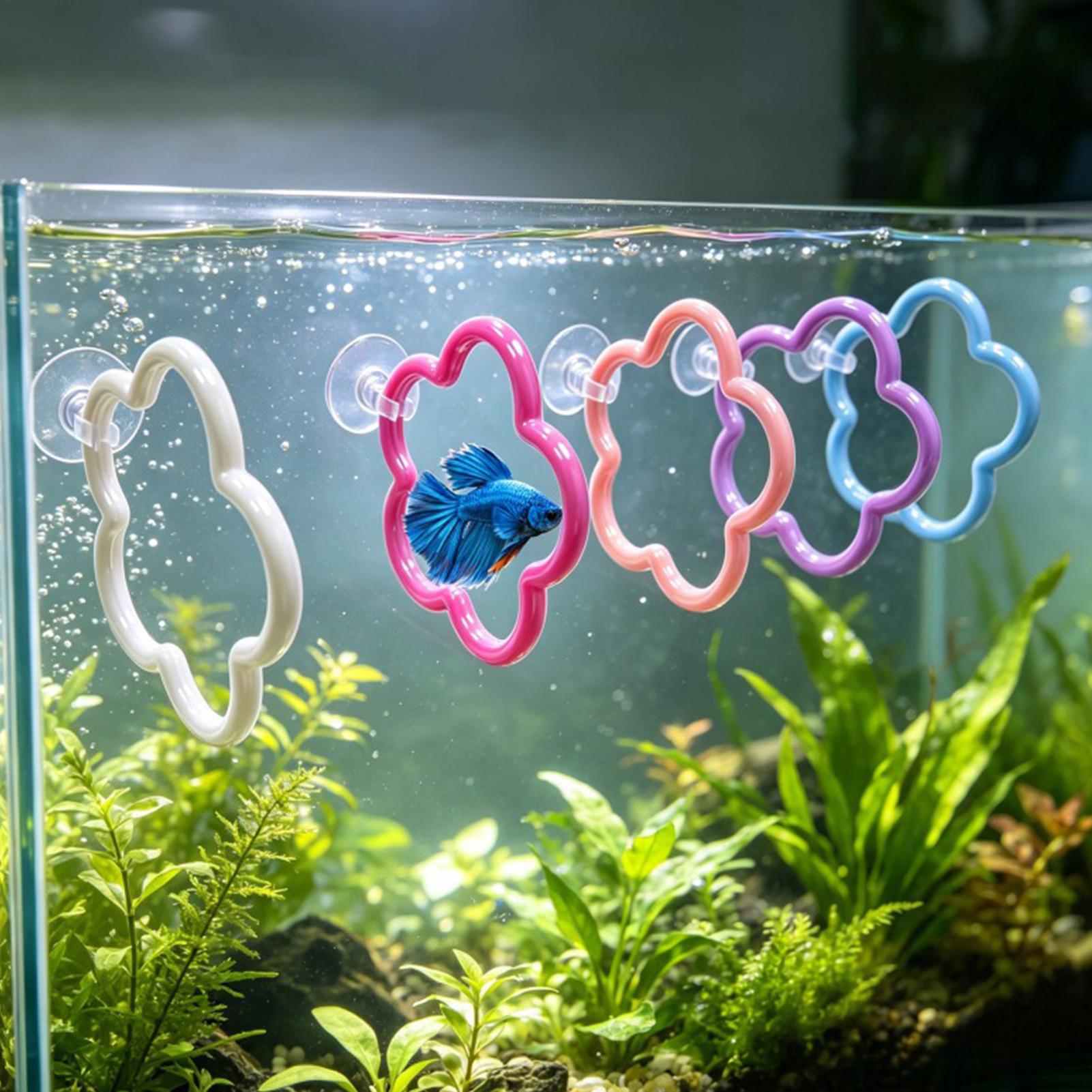 ของเล่นปลาเบตต้า 5 ชิ้น อุปกรณ - Aquarium Fish Betta บทวิจารณ์และราคา